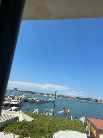 Hotel Palace San Valentino Umag Dış mekan fotoğraf